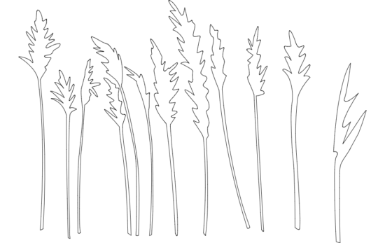 Trees And Plants dxf File