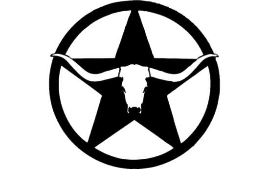 western longhorn star wall art dxf File