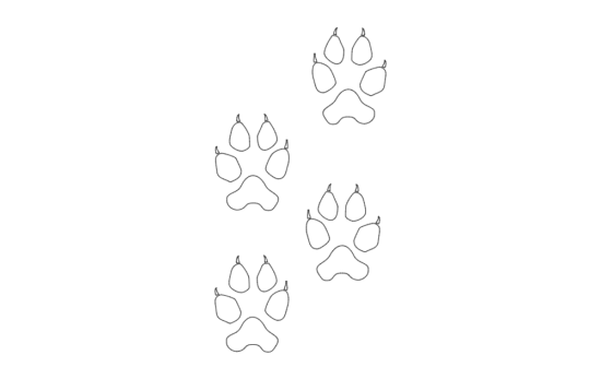 Wolf Tracks dxf File