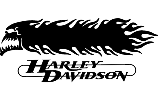 Harley Davidson Skull And flames 3d dxf File