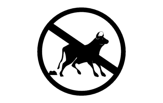 No Bull dxf File