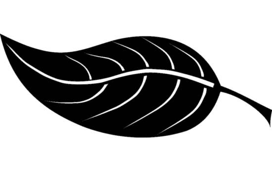 Leaf dxf File