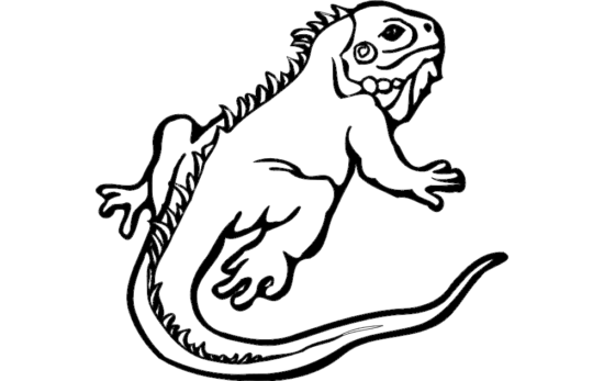 Lizard Animal dxf File