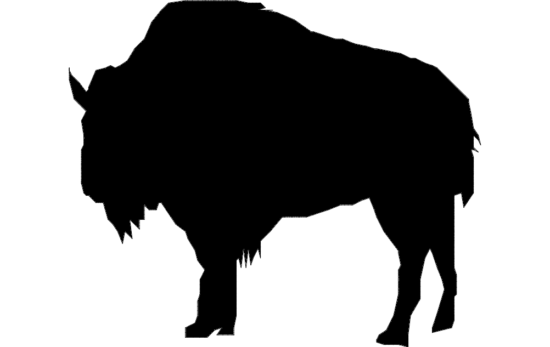 Buffalo Clip dxf File