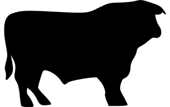 Bull dxf File