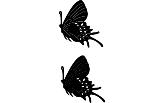 Butterflies10 dxf File