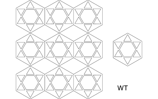 Hex 9 dxf File