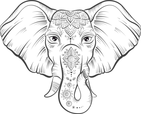 Elephant Lotus Vector Free Vector