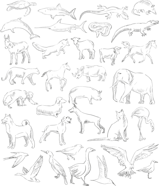 Handdrawn Animals Set Free Vector