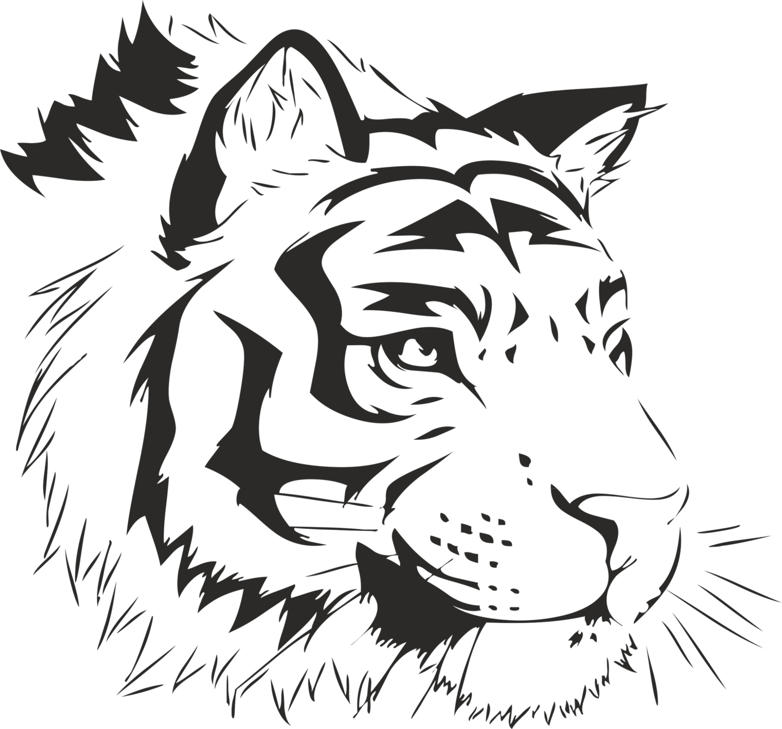 Download Tiger Stencil Sticker Free Vector - Free Download Files Cnc