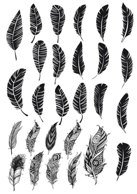 Feather Free Vector