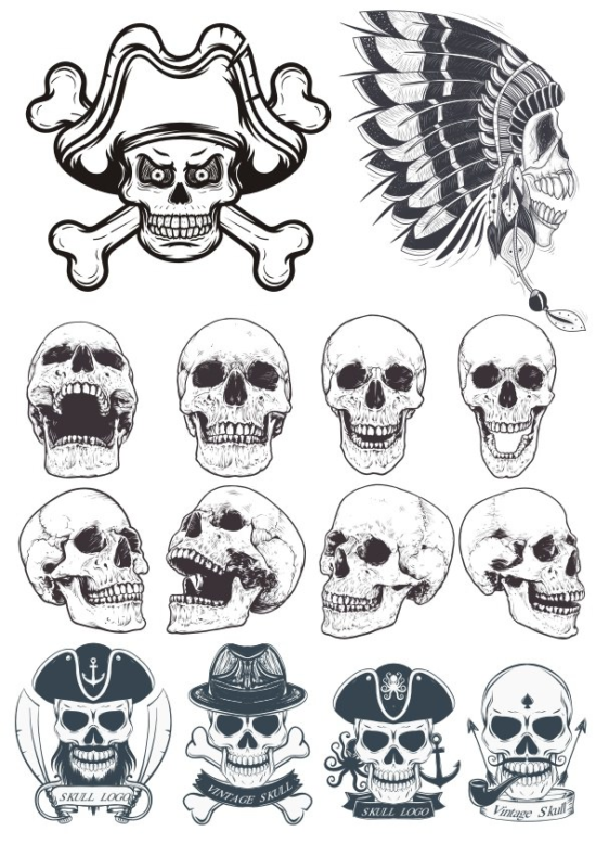 Skull Vectors Collection Free Vector