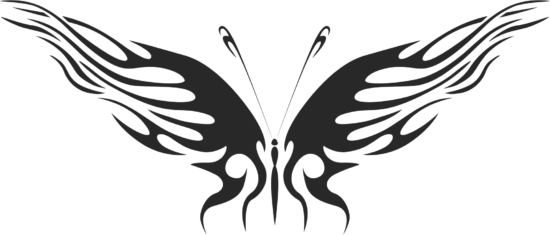 Butterfly Vector Free Vector