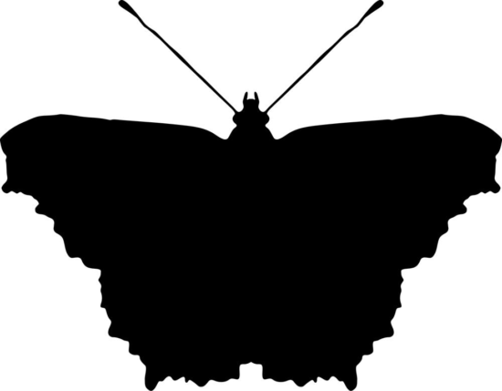 Black Butterfly Free Vector