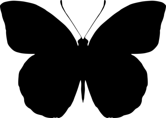 Butterfly Pattern Free Vector