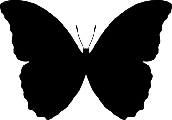 Butterfly Vector Art Free Vector