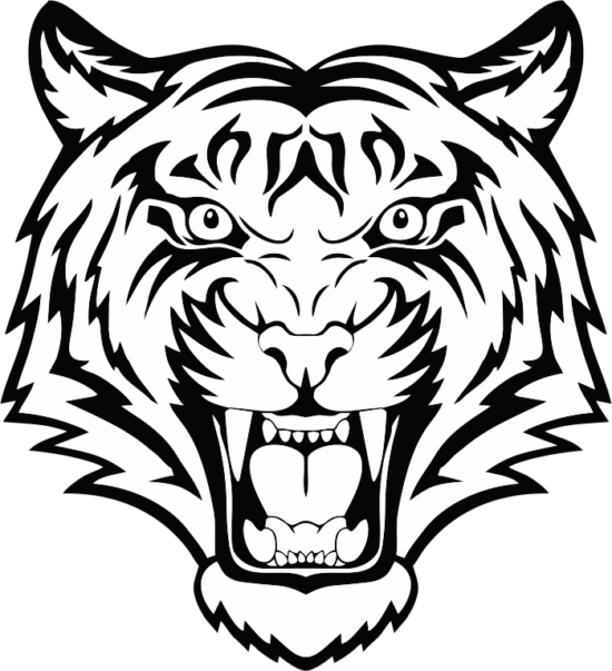 Tiger Head Vector Free Vector