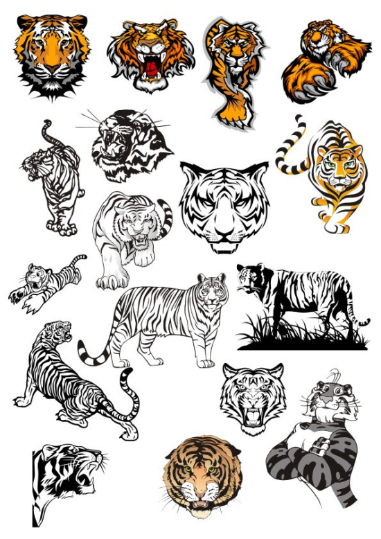 Tiger Vinyl Wall Stickers vectors Free Vector