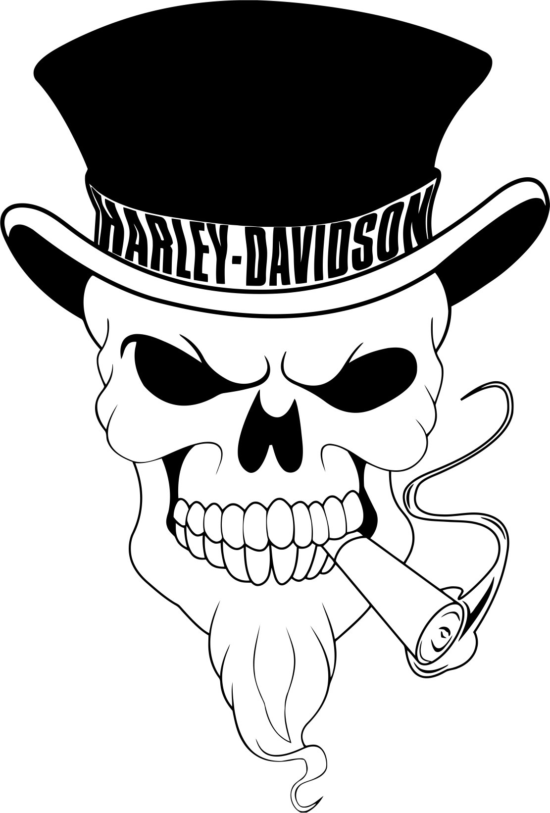 Harley Davidson Skull Vector Free Vector